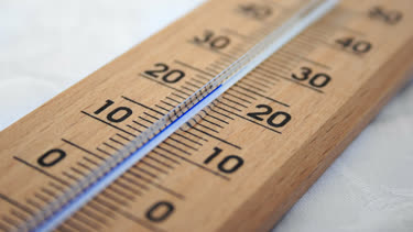 Chili Plant Temperatures Chili Plant Com