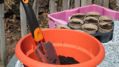 Container garden image