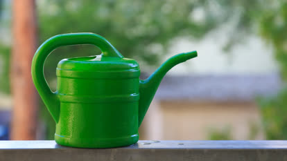 Watering can