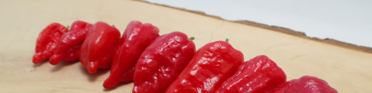 Bhut jolokia peppers