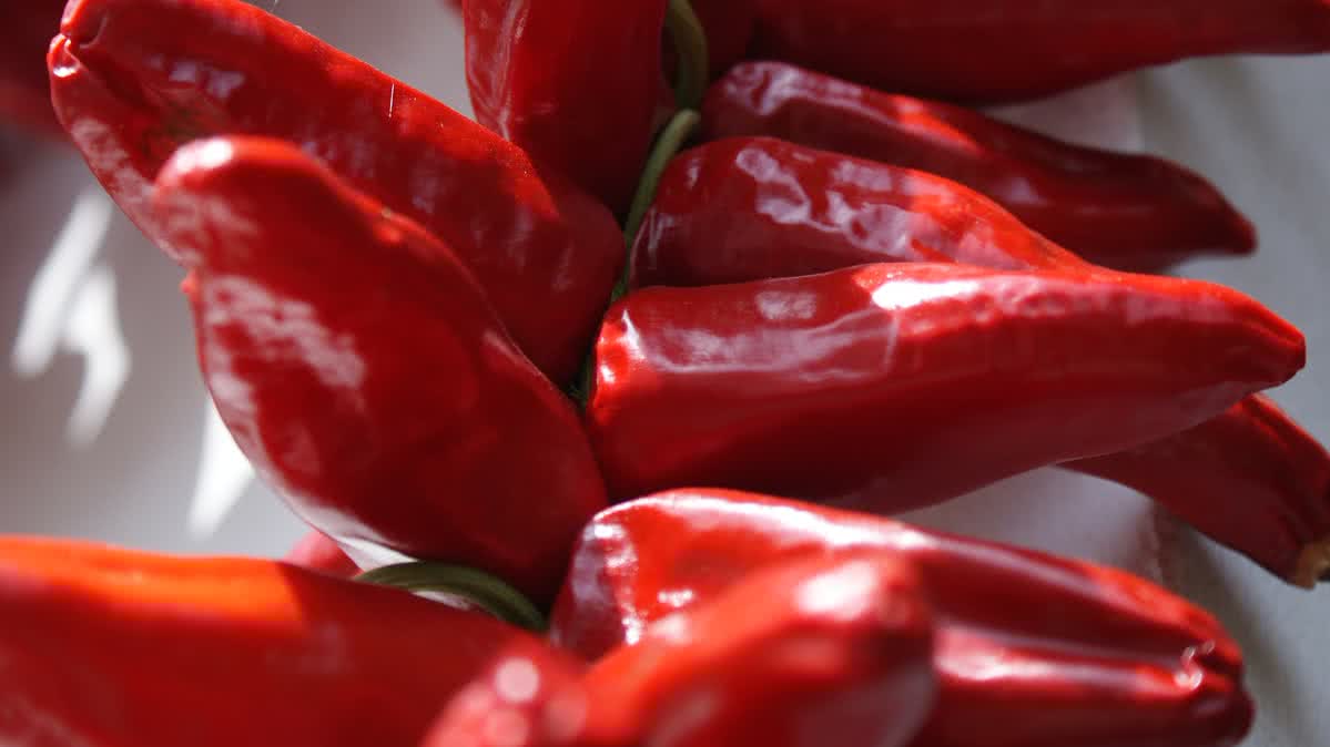 chili pepper espelette