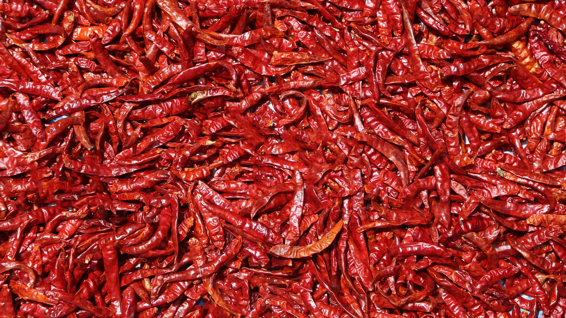 Drying peppers for powder