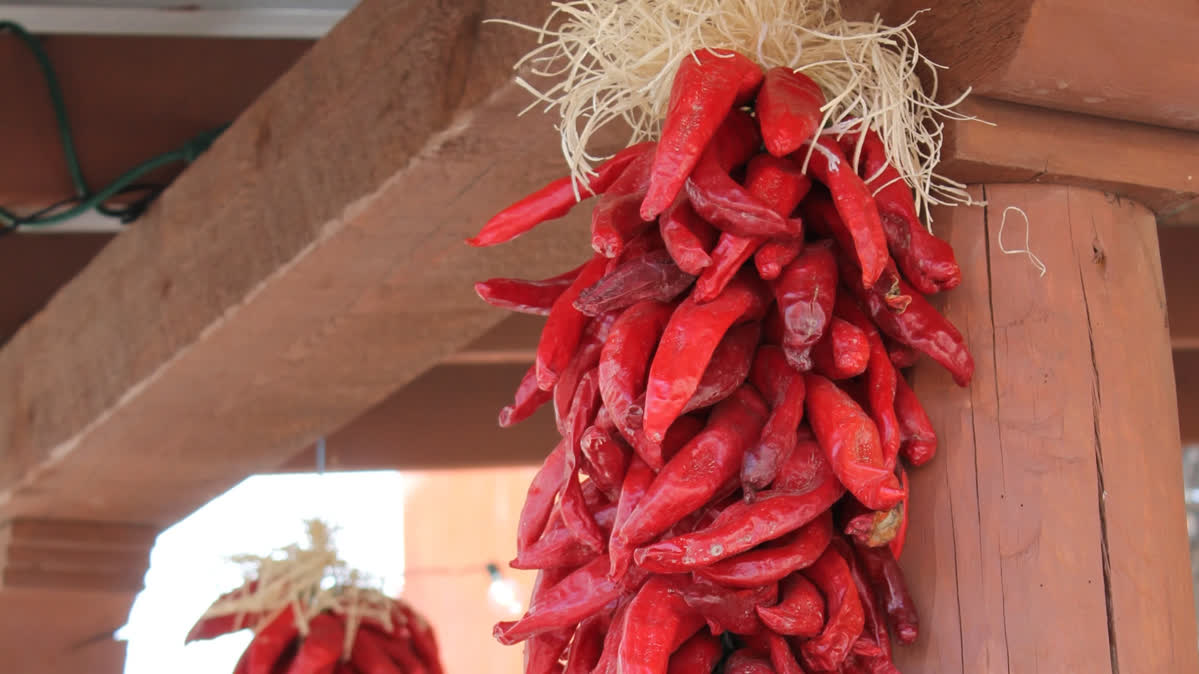 Drying peppers on the air | Chili-Plant.com